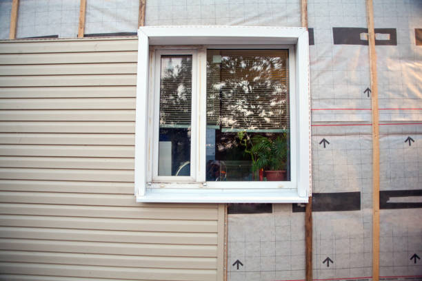 Best Vinyl Siding Installation  in Kyle, SD